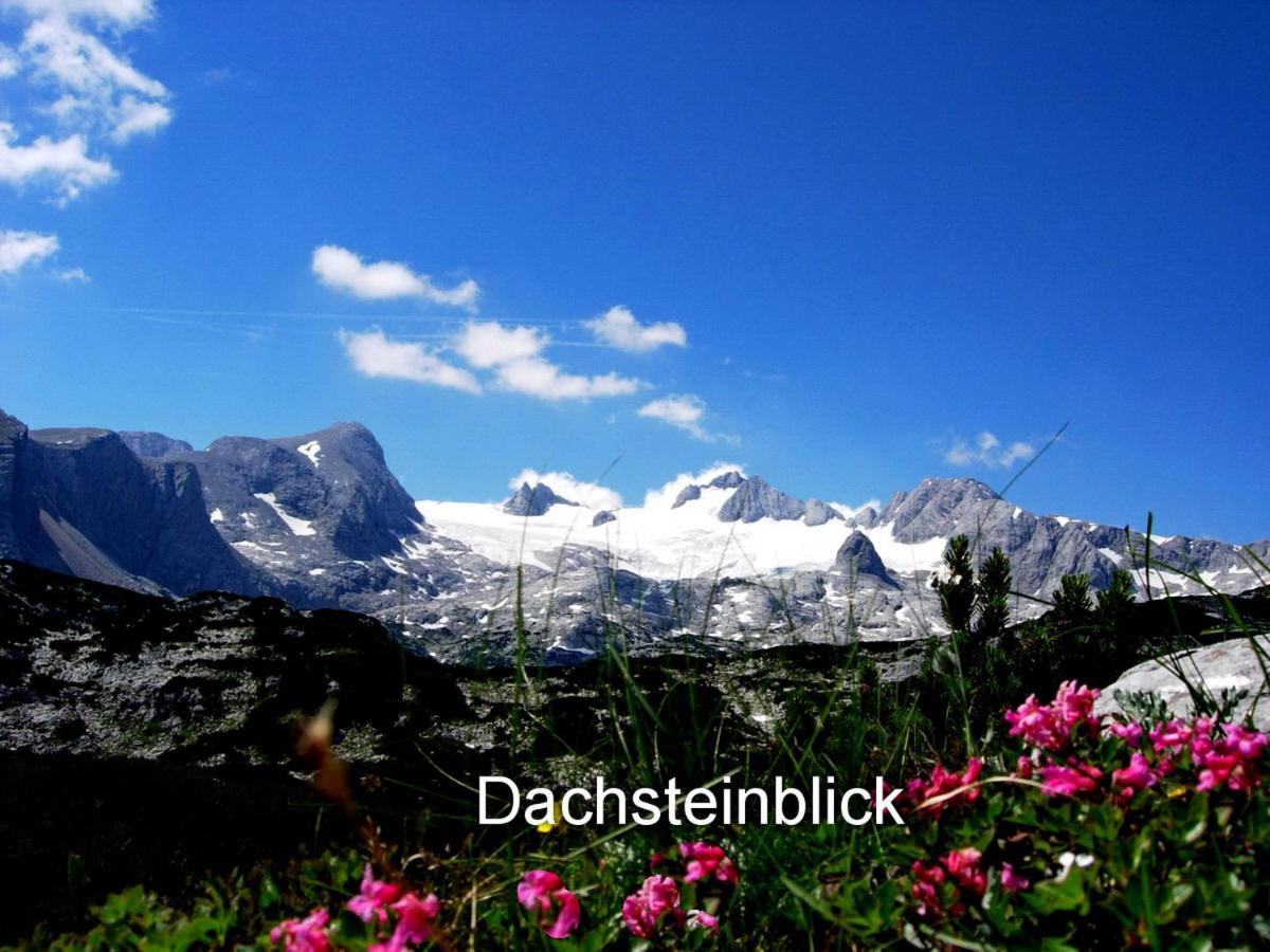 Haus Alpenblick Obertraun Exterior foto