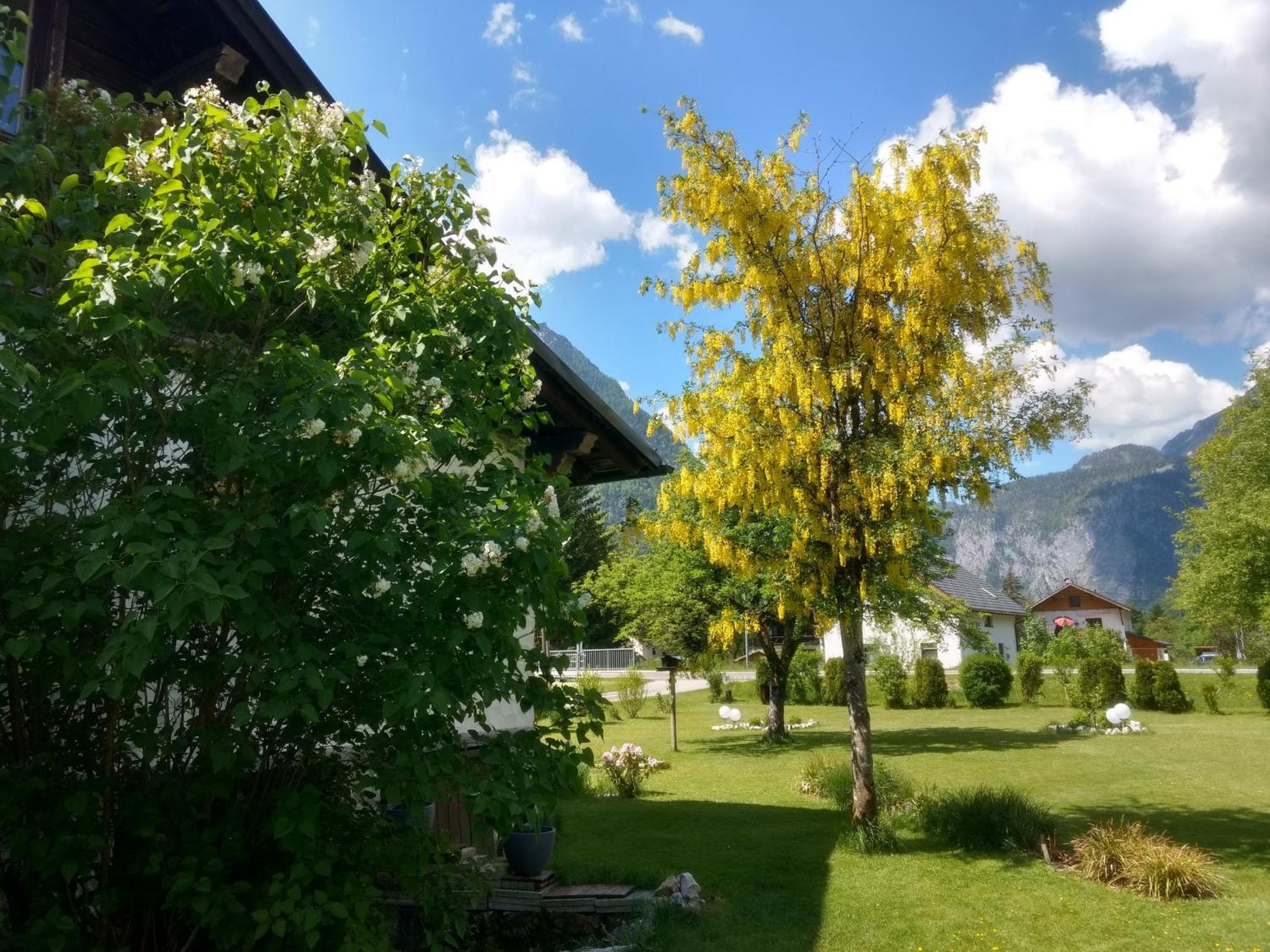 Haus Alpenblick Obertraun Exterior foto