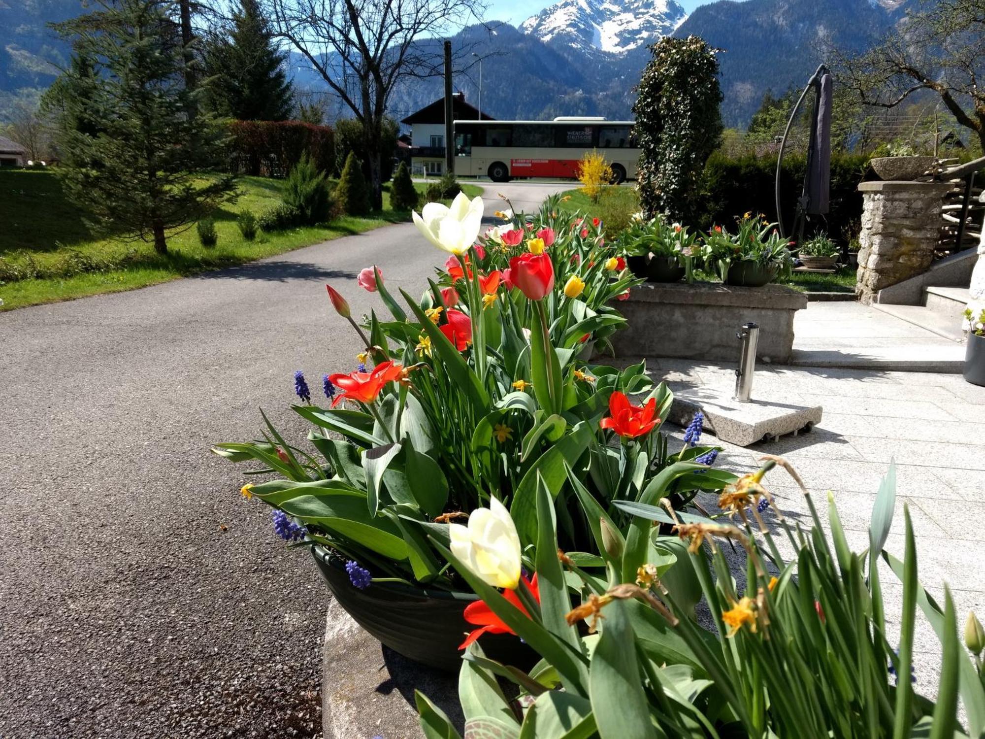 Haus Alpenblick Obertraun Exterior foto