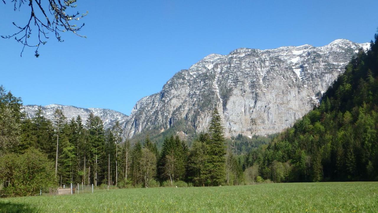 Haus Alpenblick Obertraun Exterior foto